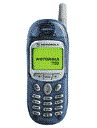 Best available price of Motorola T190 in Samoa