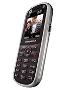 Best available price of Motorola WX288 in Samoa