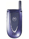 Best available price of Motorola V66i in Samoa